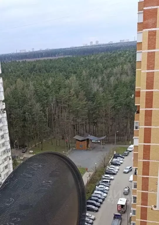 2-к кв. Московская область, Люберцы городской округ, Октябрьский пгт ... - Фото 2