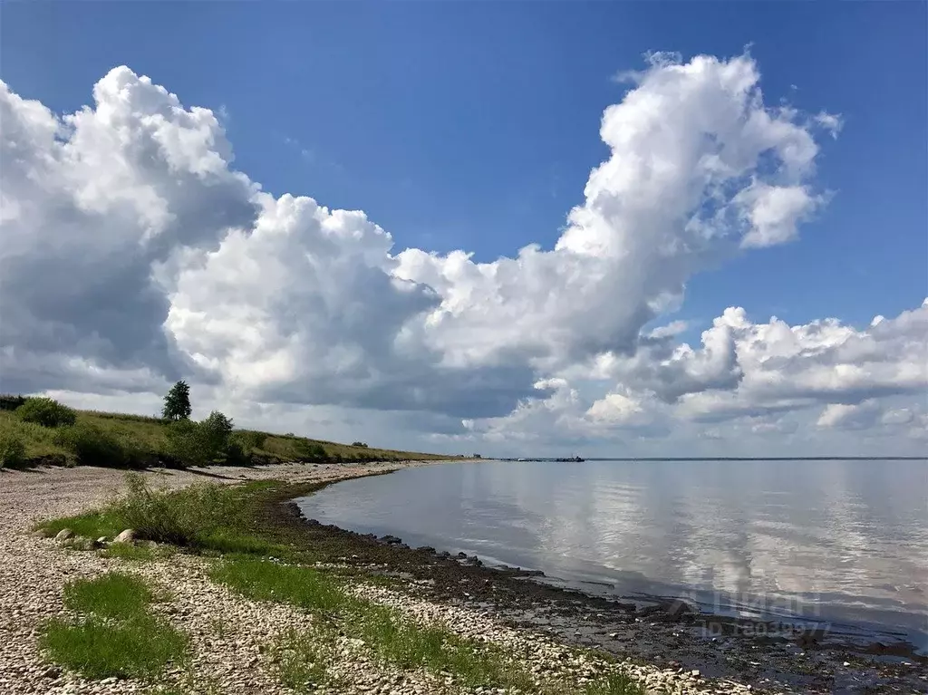 Участок в Новгородская область, Новгородский район, Ракомское с/пос, ... - Фото 0