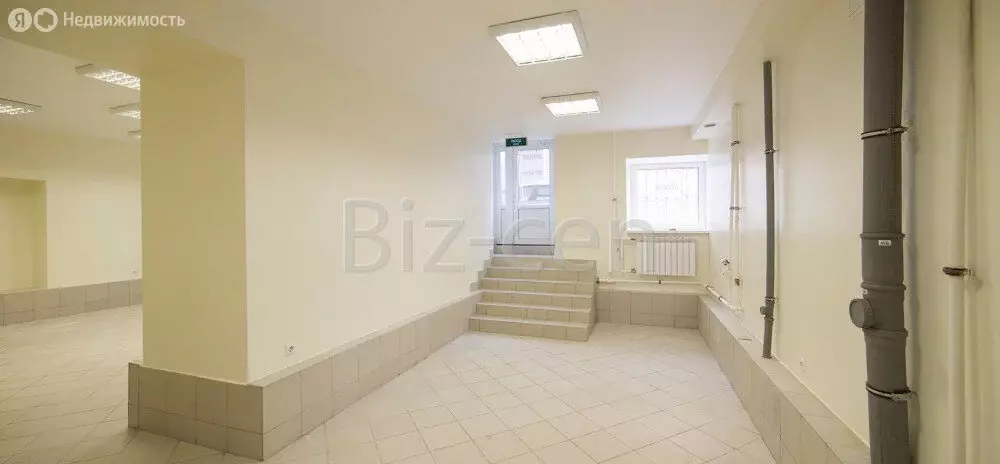 Офис (49.5 м) - Фото 2