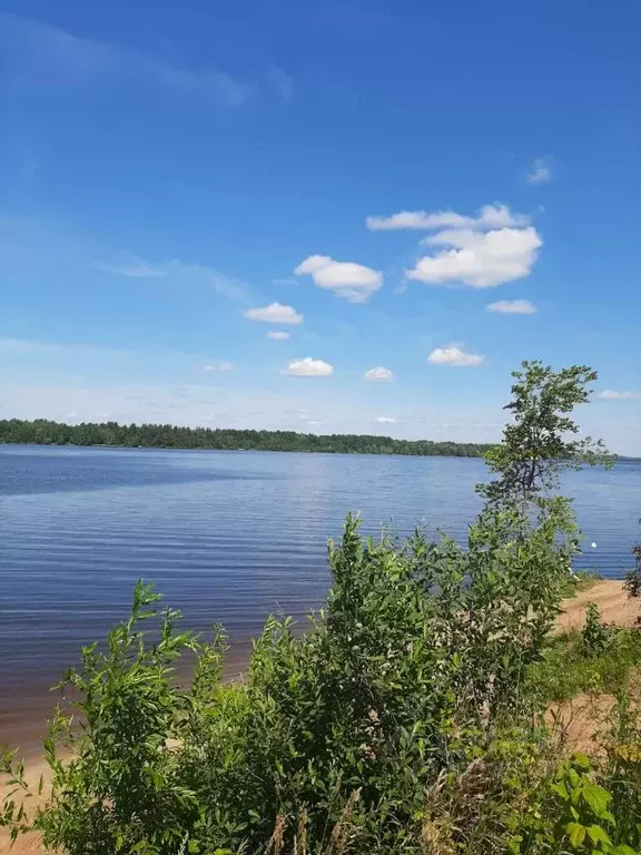 Участок в Пермский край, Пермский муниципальный округ, с. Усть-Качка ... - Фото 1