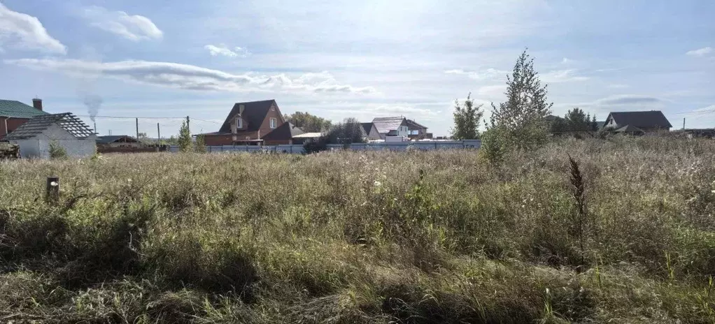 Участок в Омская область, Омский район, Дружинское с/пос, с. Красная ... - Фото 2