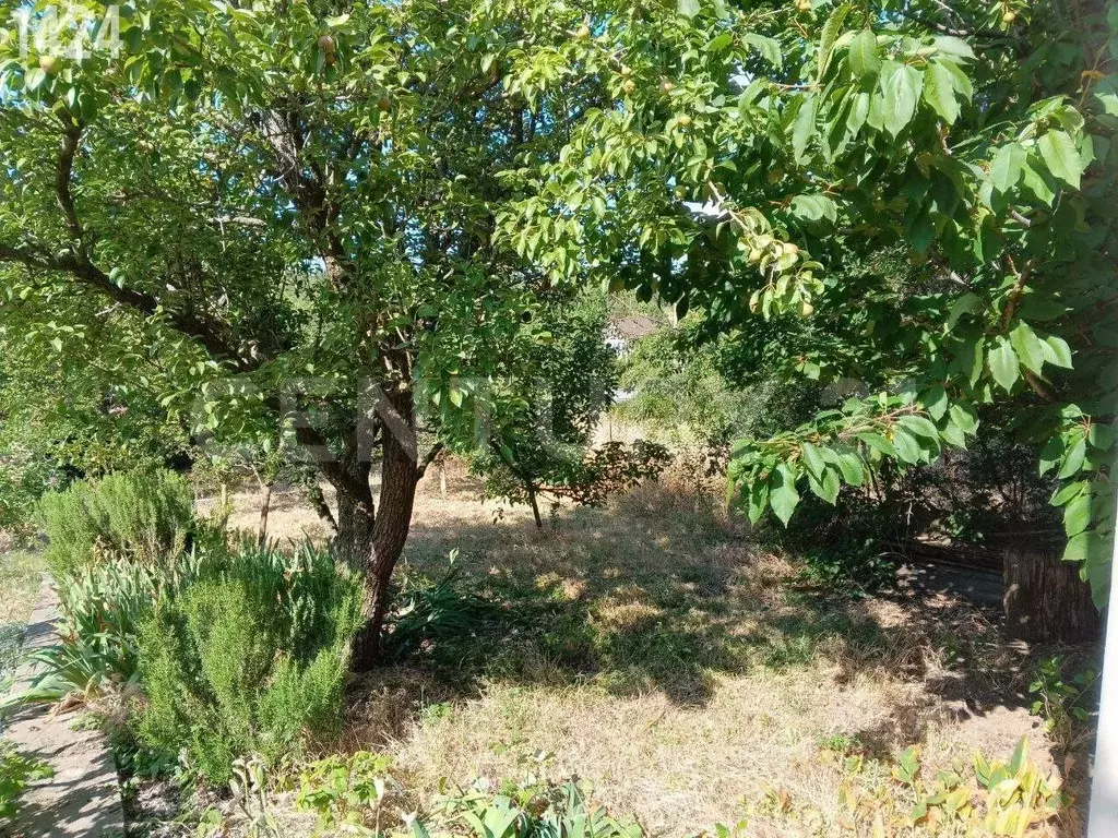 Дом в Севастополь ТСН СНТ Строитель-2 тер., 154 (45 м) - Фото 1