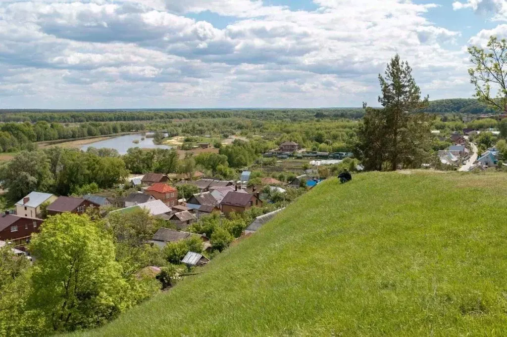 Участок в Владимирская область, Суздальский район, Селецкое ... - Фото 1