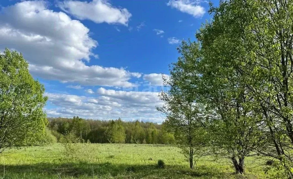 Участок в Свердловская область, Каменск-Уральский № 108 тер. кст, 6 ... - Фото 1
