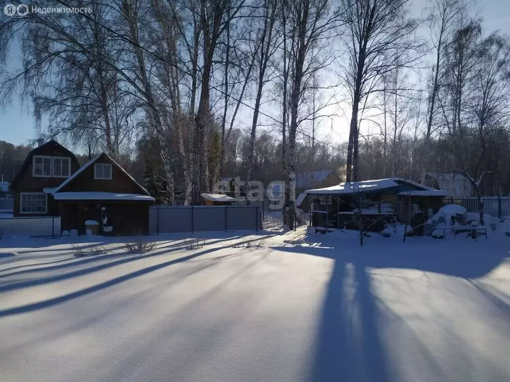 Участок в Новосибирск, садовое товарищество Приморский (6 м) - Фото 0