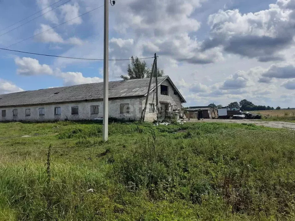 Производственное помещение в Калининградская область, Багратионовский ... - Фото 0