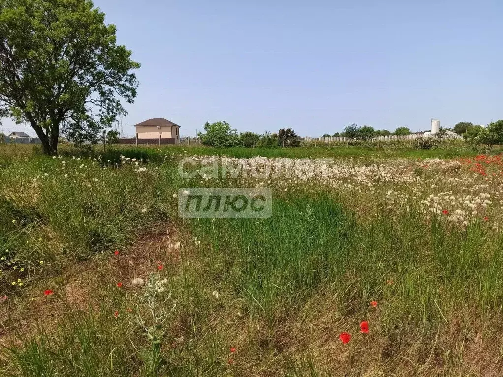 Участок в Крым, Ленинский район, Глазовское с/пос, с. Осовины ул. ... - Фото 1