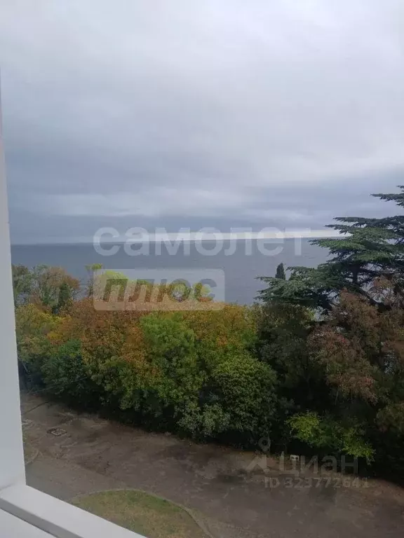 1-к кв. Крым, Ялта муниципальный округ, Симеиз пгт ул. Владимира ... - Фото 1