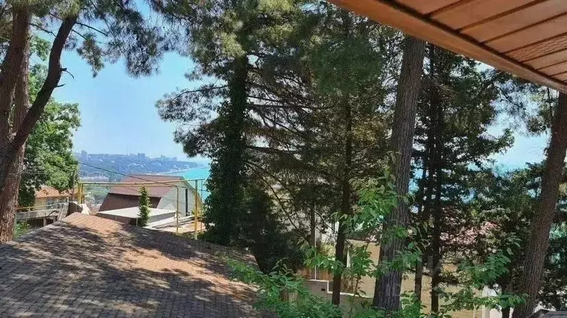 Дом в Краснодарский край, Сочи ул. Ручей Видный (230 м) - Фото 2
