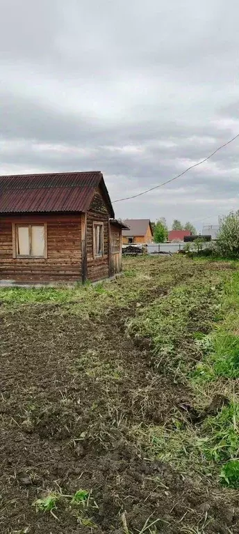 Дом в Новосибирская область, Колыванский район, Надежда СТ ул. 17-я ... - Фото 1