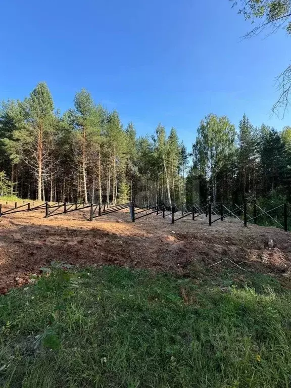 Участок в Владимирская область, Ковровский район, Доброград ... - Фото 1