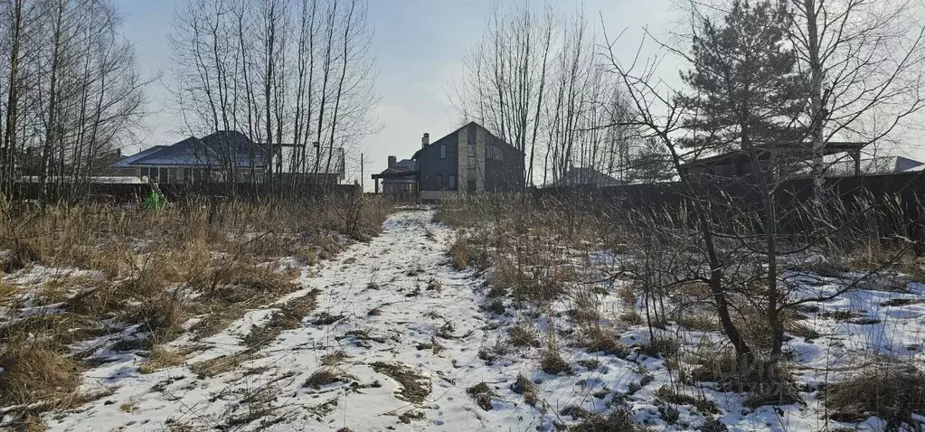 Участок в Московская область, Луховицы пер. Дивный, 3 (12.0 сот.) - Фото 1