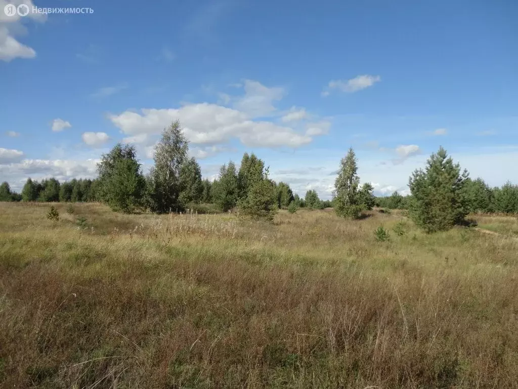 Участок в Нижегородская область, муниципальный округ Сокольский, ... - Фото 0