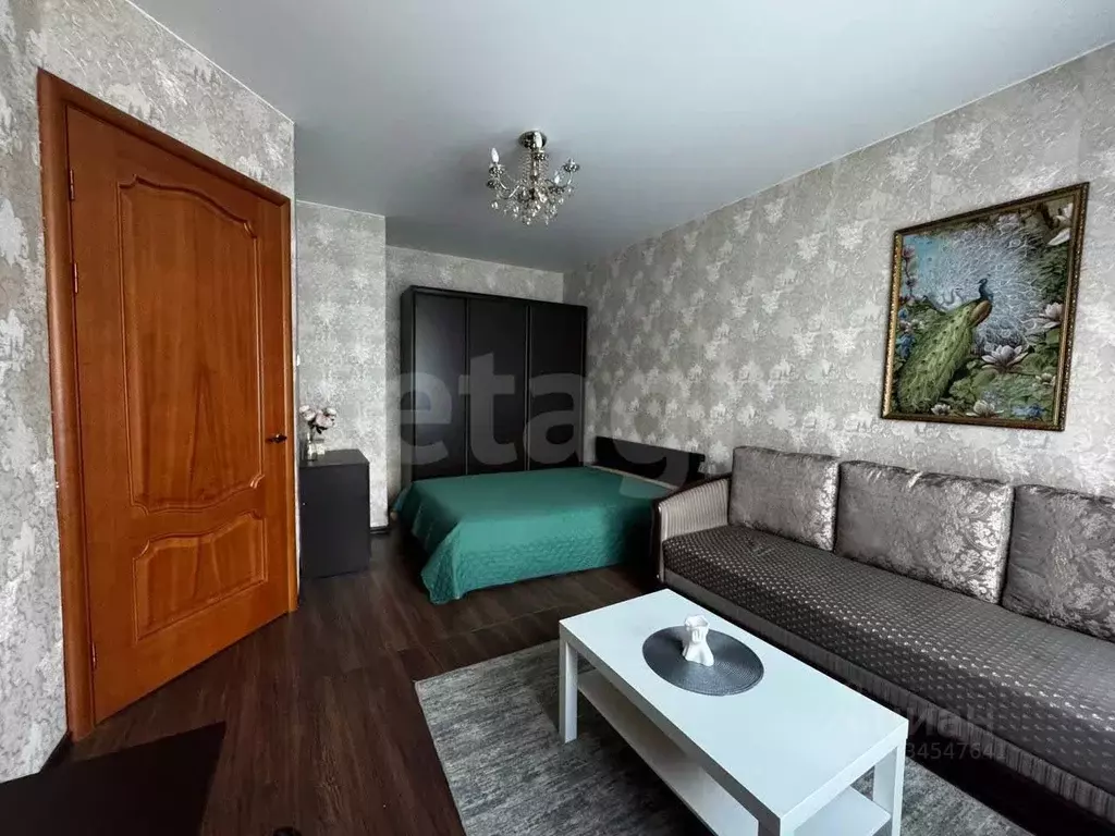 1-к кв. Санкт-Петербург Новочеркасский просп., 28/19 (31.6 м) - Фото 1