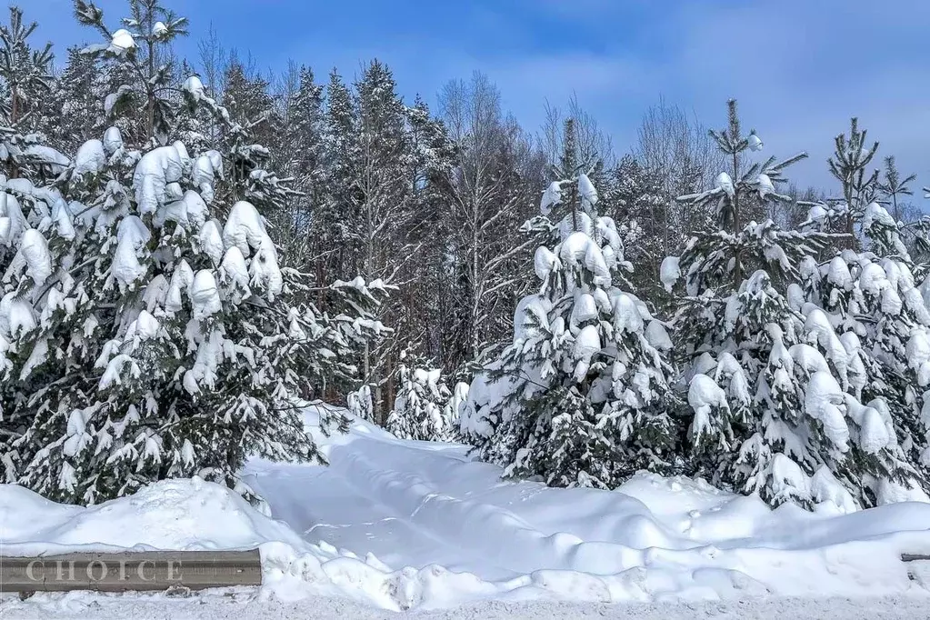 Участок в Московская область, Красногорск городской округ, д. ... - Фото 1