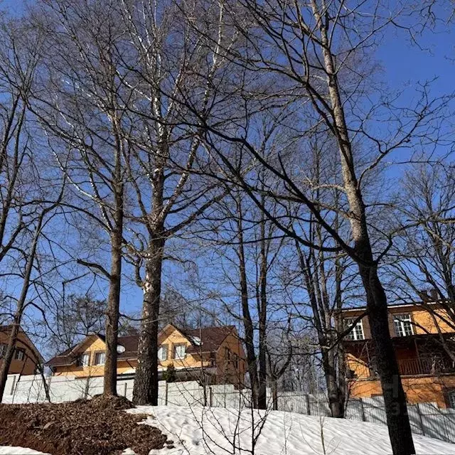 Участок в Московская область, Дмитровский муниципальный округ, д. ... - Фото 2