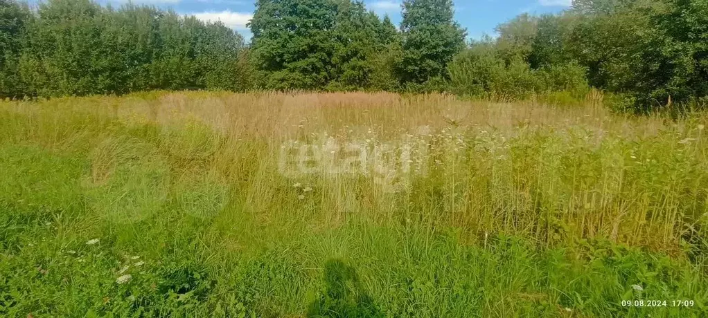 Участок 6 сот. (СНТ, ДНП) - Фото 0