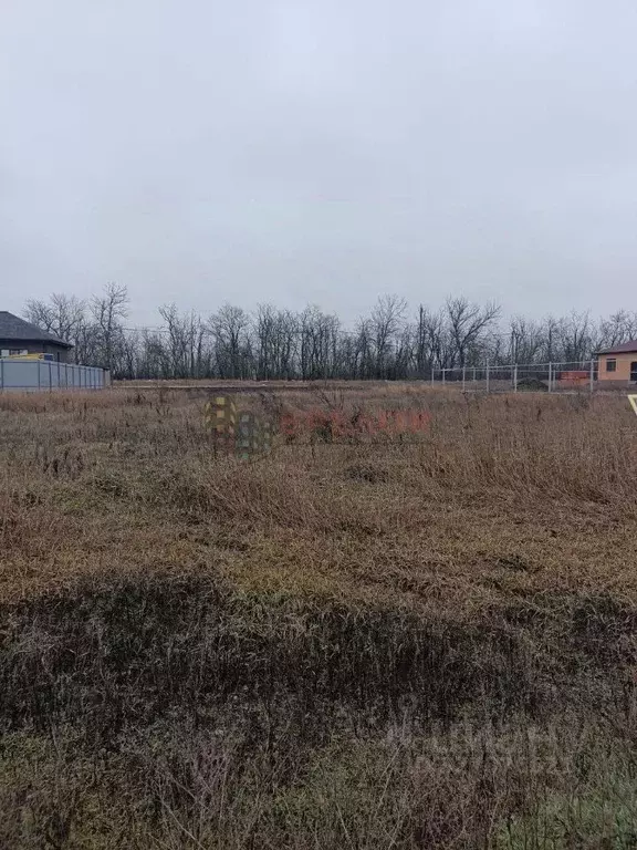 Участок в Ростовская область, Мясниковский район, с. Чалтырь ул. 271-й ... - Фото 1