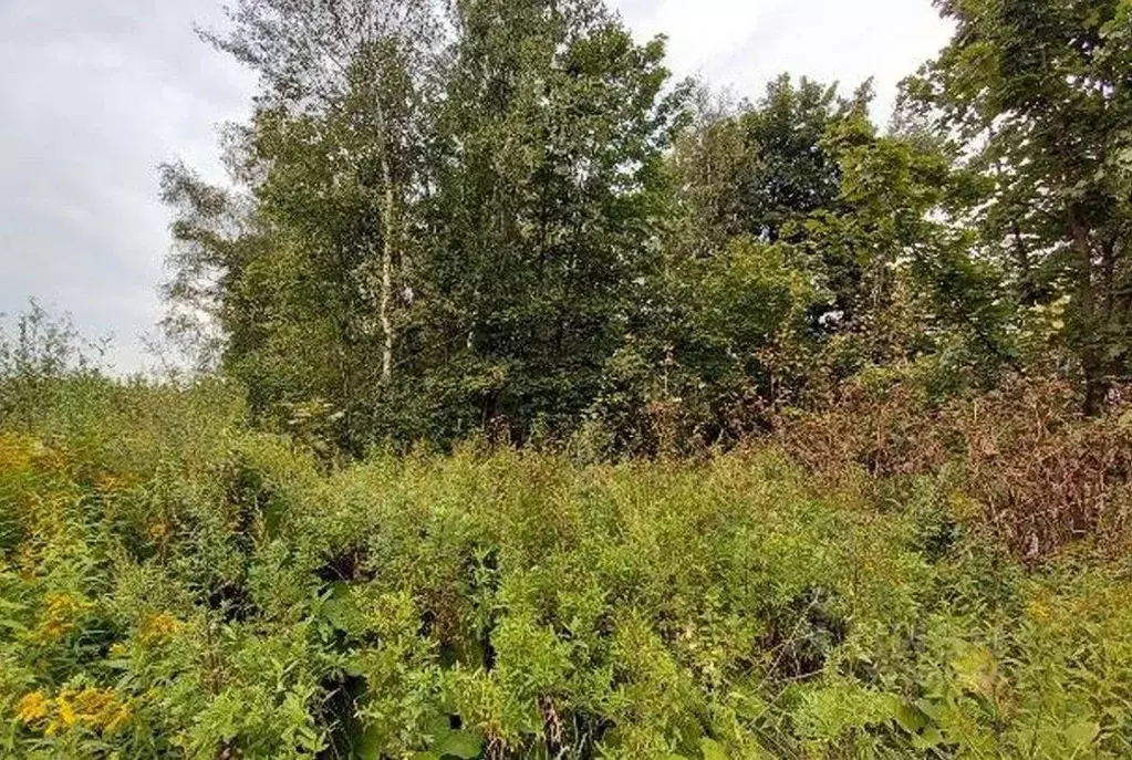 Участок в Московская область, Дмитровский муниципальный округ, д. ... - Фото 1