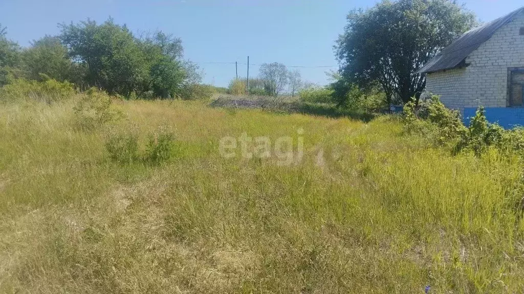 Участок в Белгородская область, Белгородский район, Разумное рп, пос. ... - Фото 1