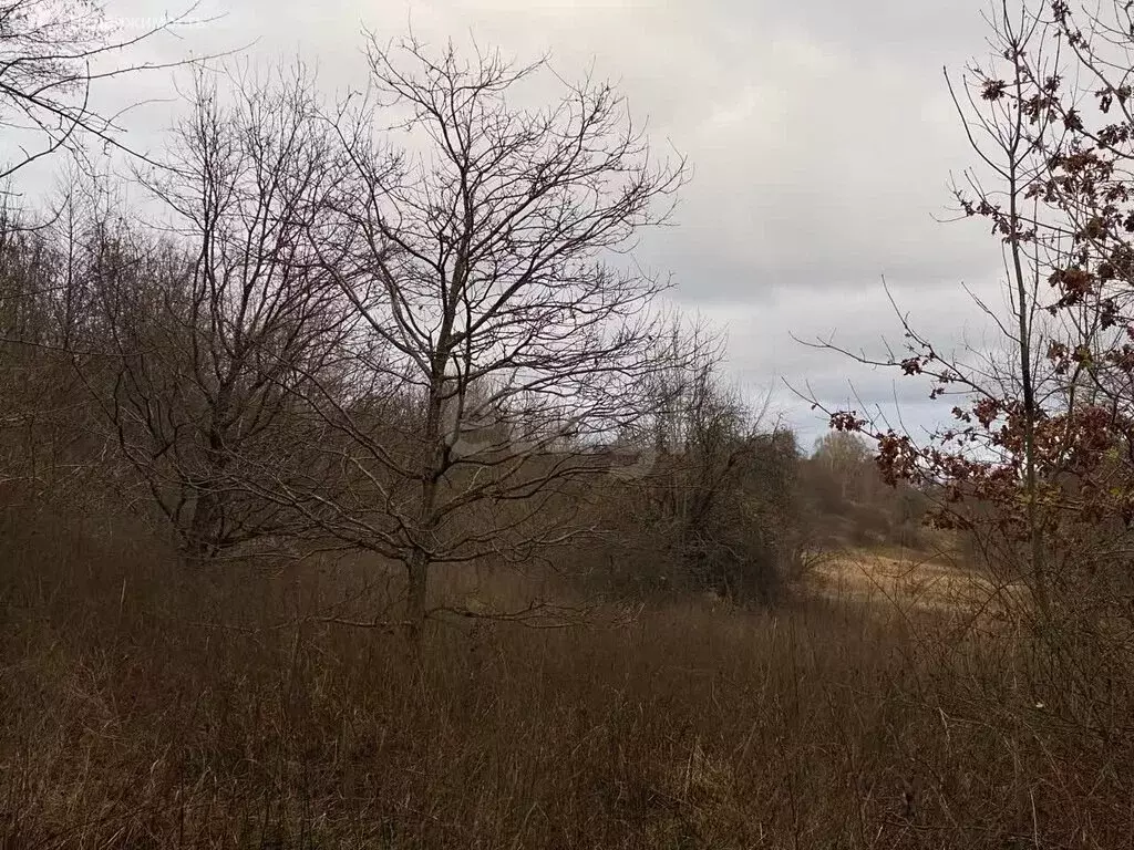 Участок в Калининградская область, Зеленоградск (6.03 м) - Фото 2