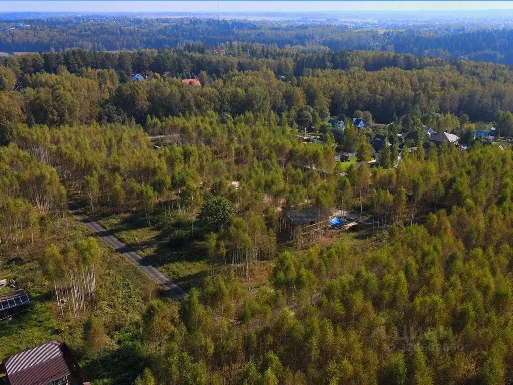 Участок в Московская область, Дмитровский муниципальный округ, д. ... - Фото 1