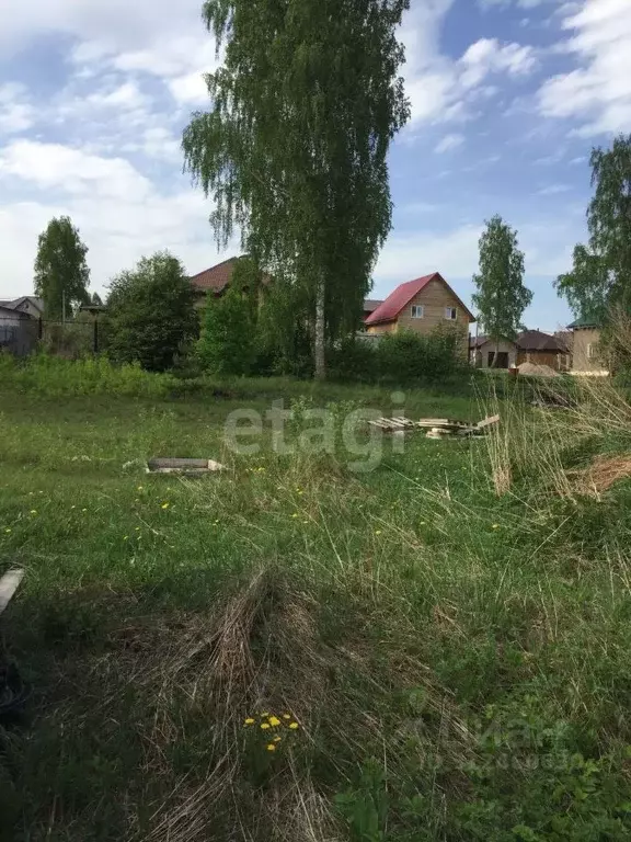 Участок в Новосибирская область, Новосибирский район, Каменский ... - Фото 1