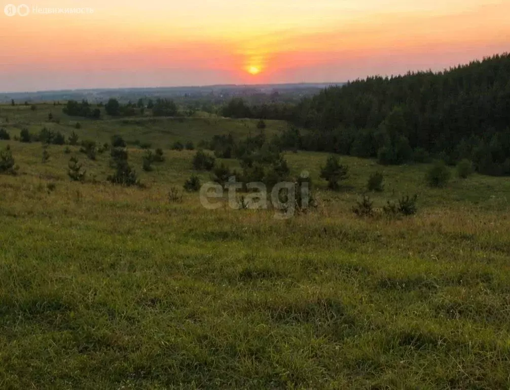 Участок в Тамбовская область, Гавриловский муниципальный округ, село ... - Фото 1