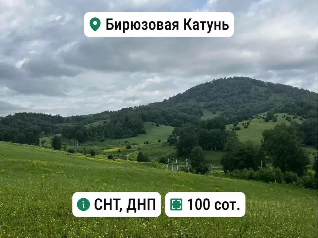 Участок в Алтай, Майминский район, с. Манжерок Ленинская ул. (100.0 ... - Фото 1