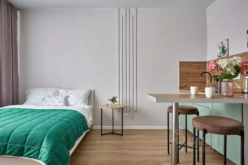 Студия Московская область, Одинцово ул. Каштановая, 16 (25.0 м) - Фото 1