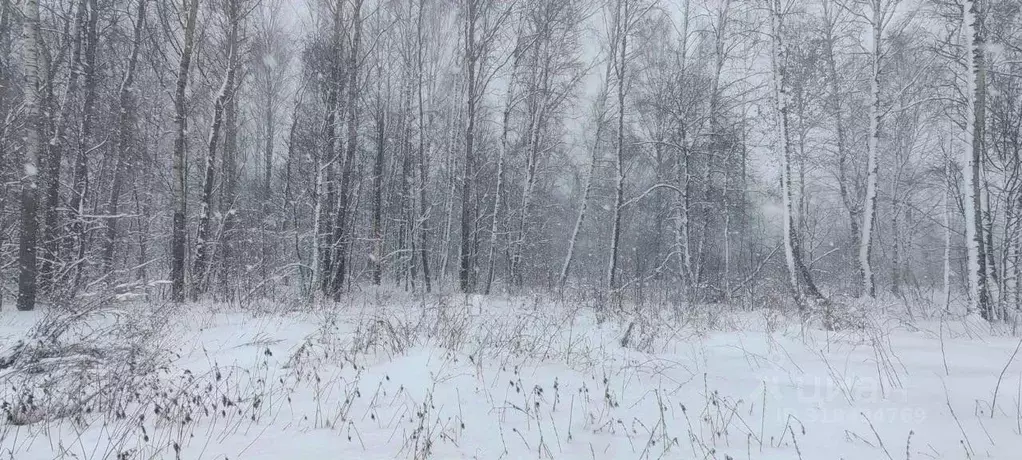 Участок в Московская область, Солнечногорск городской округ, д. ... - Фото 0