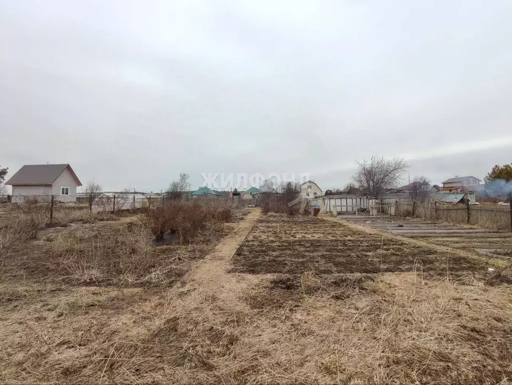 Участок в Томская область, Северск городской округ, пос. Самусь ул. ... - Фото 0