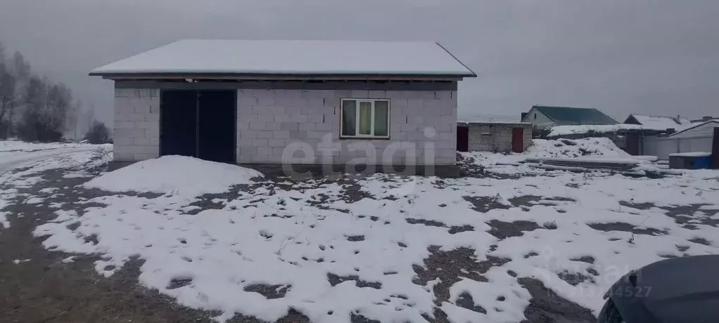 Дом в Брянская область, Брянск Большое Полпино пгт, ул. Чапаева (117 ... - Фото 1