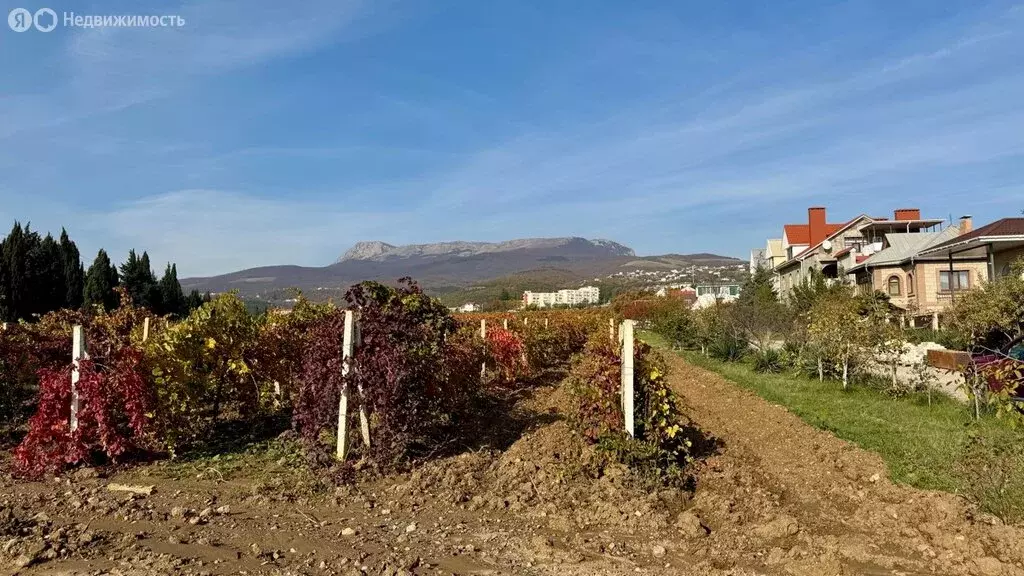 Участок в Нижняя Кутузовка, улица Алуштинское Шоссе, 1В (7.1 м) - Фото 1
