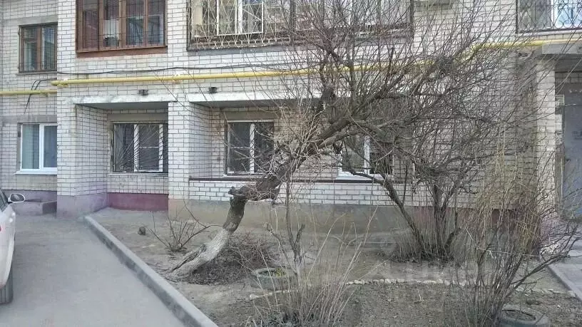 Помещение свободного назначения в Волгоградская область, Волгоград ... - Фото 2