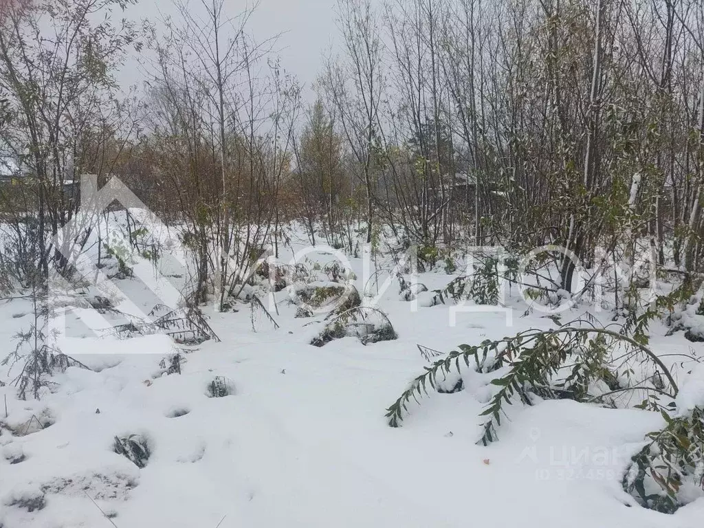 Участок в Сахалинская область, Тымовское пгт  (10.0 сот.) - Фото 1