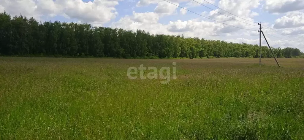 Участок в Тульская область, Киреевский район, Дедиловское ... - Фото 0