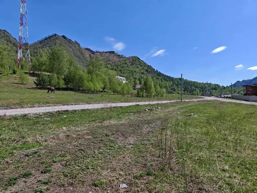 Участок в Алтай, Чемальский район, с. Чемал Южная ул. (10.0 сот.) - Фото 0