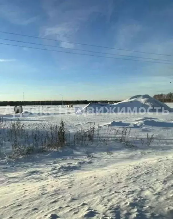 Участок в Тюменская область, Тюменский район, с. Каменка  (9.16 сот.) - Фото 1