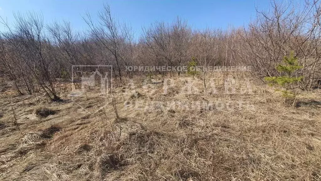 Участок в Кемеровская область, Кемеровский район, д. Мозжуха  (25.0 ... - Фото 0