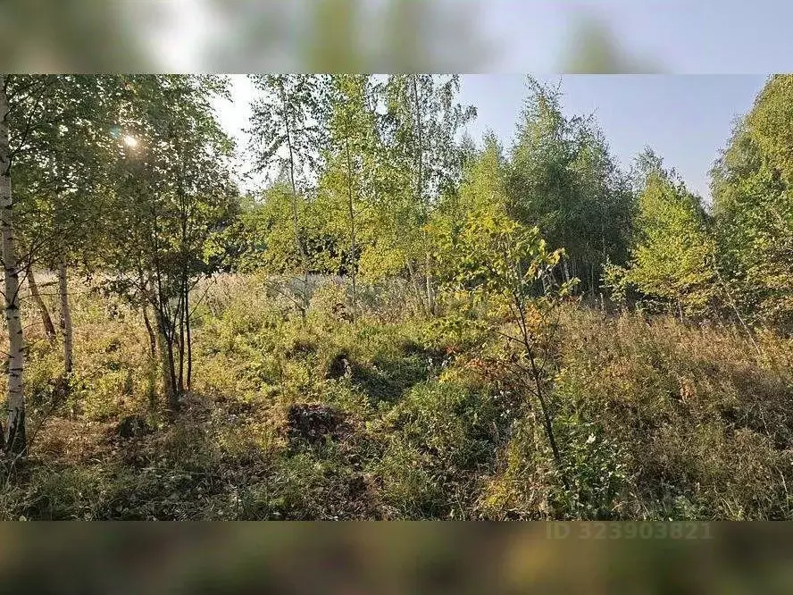 Участок в Московская область, Серебряные Пруды пгт ул. Советская ... - Фото 2