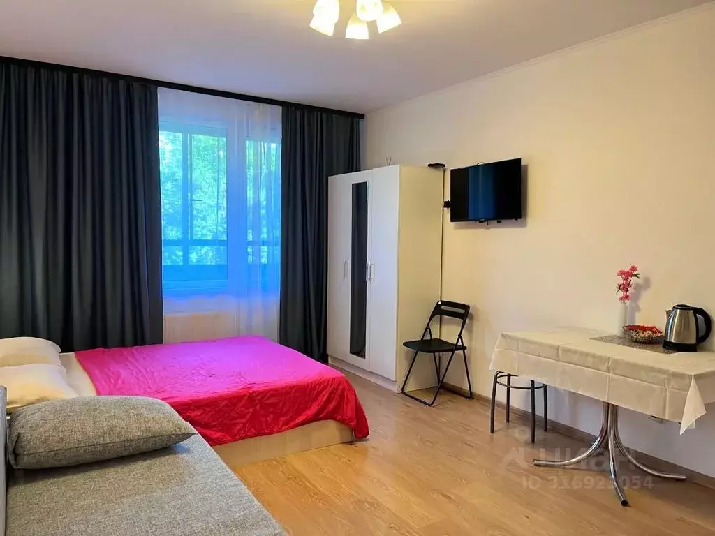 Студия Санкт-Петербург просп. Энергетиков, 9к6 (27.0 м) - Фото 1