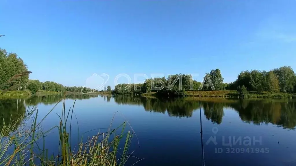 Участок в Тюменская область, Тюменский район, д. Малиновка, Малиновка ... - Фото 1