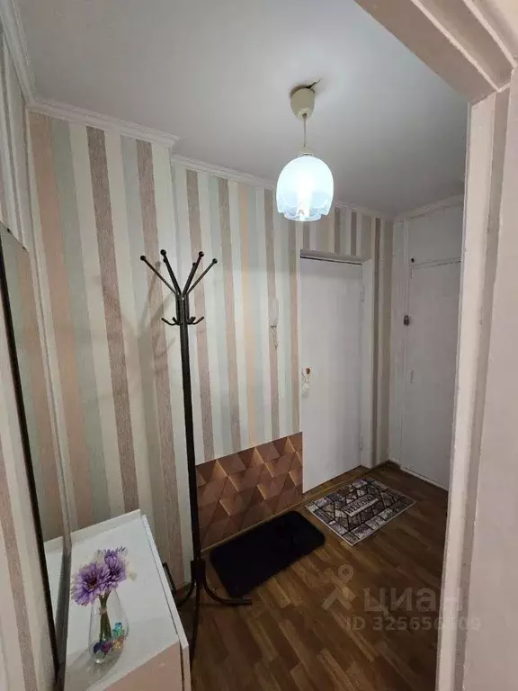 1-к кв. Новосибирская область, Новосибирск ул. Кошурникова, 49 (30.0 ... - Фото 2