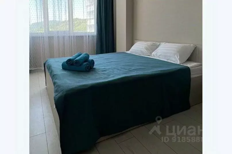 1-к кв. Краснодарский край, Сочи ул. Ленина, 288 (30.0 м) - Фото 2