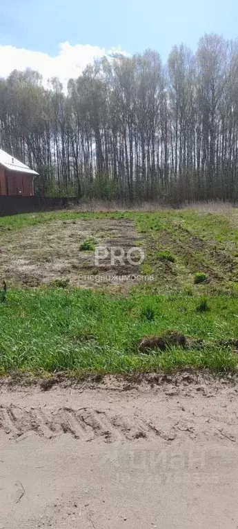 Участок в Ярославская область, Ярославский муниципальный округ, д. ... - Фото 2