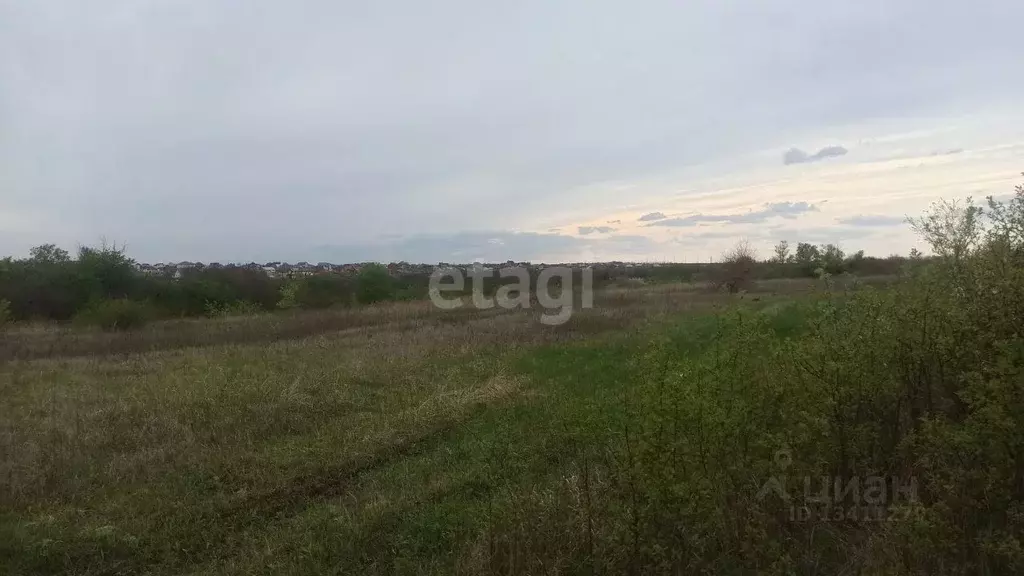 Участок в Белгородская область, Белгород Сухой Лог садоводческий ... - Фото 0