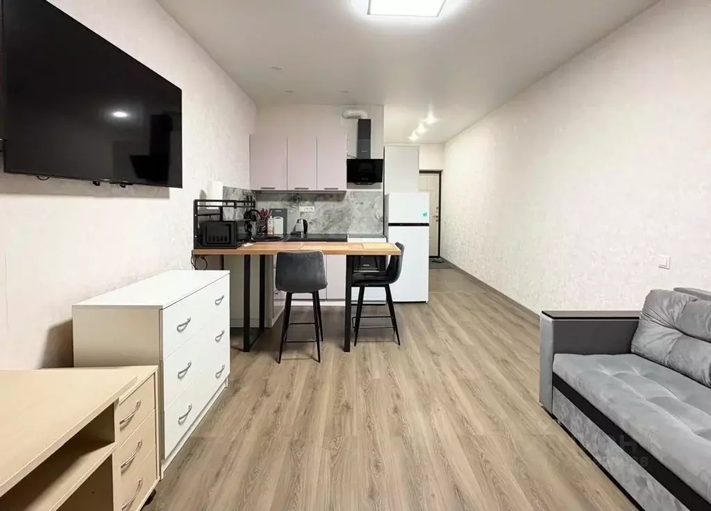 Студия Московская область, Реутов Носовихинское ш., 43 (27.0 м) - Фото 1