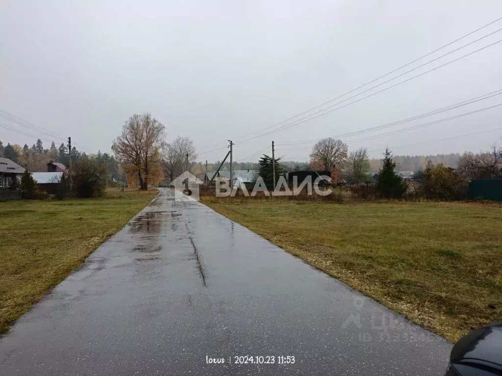 Участок в Владимирская область, Судогодский район, Андреевское ... - Фото 0