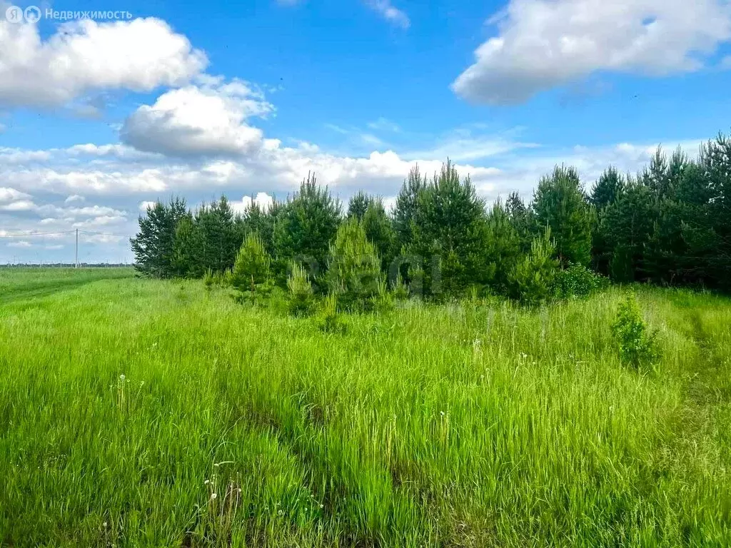 Участок в посёлок городского типа Тугулым, Весенняя улица (6.66 м) - Фото 2